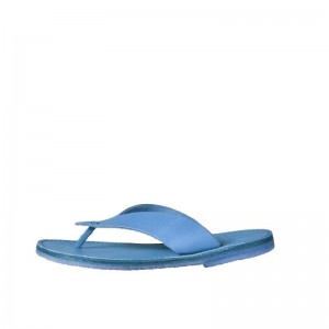 Men's Duckfeet Aero Flip Flops Blue | NZ VQEJ67035