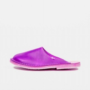 Men's Duckfeet Blavand Slippers Purple | NZ NLGI08412