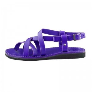 Men's Duckfeet Skagen Sandals Purple | NZ UTXC21764