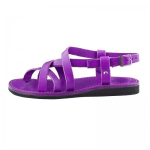 Men's Duckfeet Skagen Sandals Purple | NZ AGDP38729