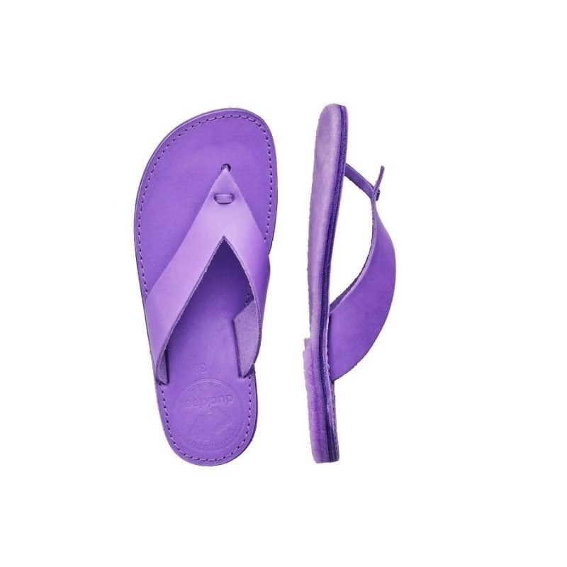 Men's Duckfeet Aero Flip Flops Purple | NZ IRXE34019