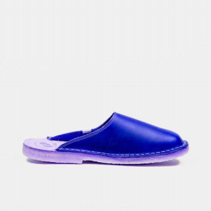 Men's Duckfeet Blavand Slippers Blue | NZ DPZC95813