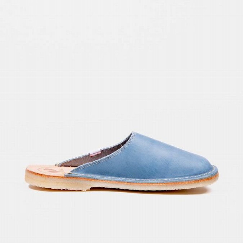 Men's Duckfeet Blavand Slippers Blue | NZ CHKU01384