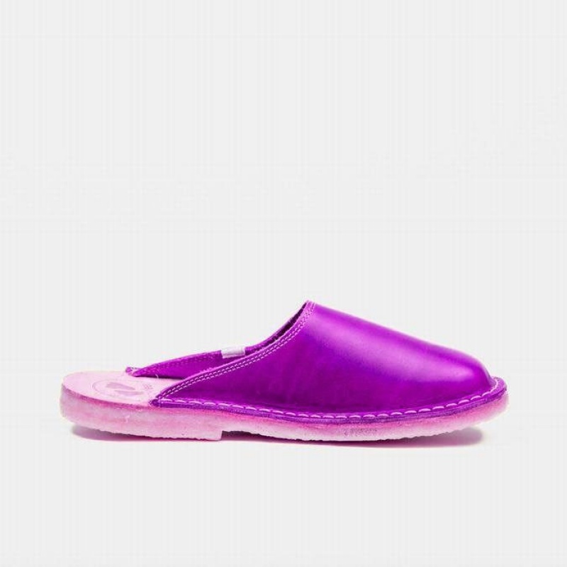 Men's Duckfeet Blavand Slippers Purple | NZ NLGI08412