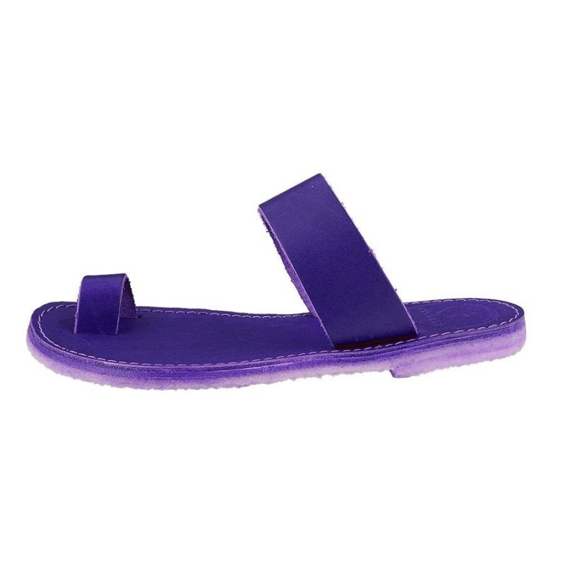 Men\'s Duckfeet Laeso Sandals Purple | NZ HAFM69731